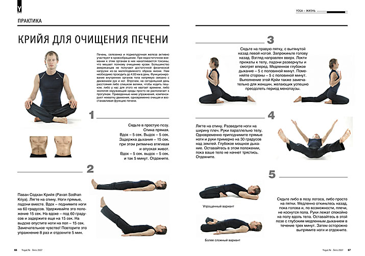 yoga life 